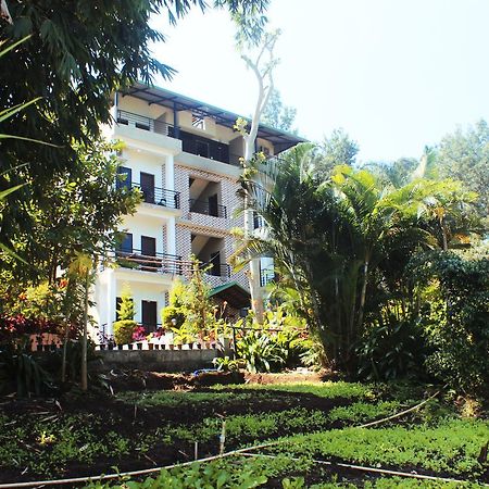 Coorg Jungle Camp Resort Suntikoppa Exterior foto