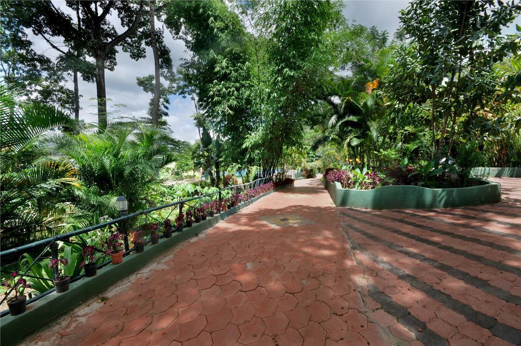 Coorg Jungle Camp Resort Suntikoppa Exterior foto
